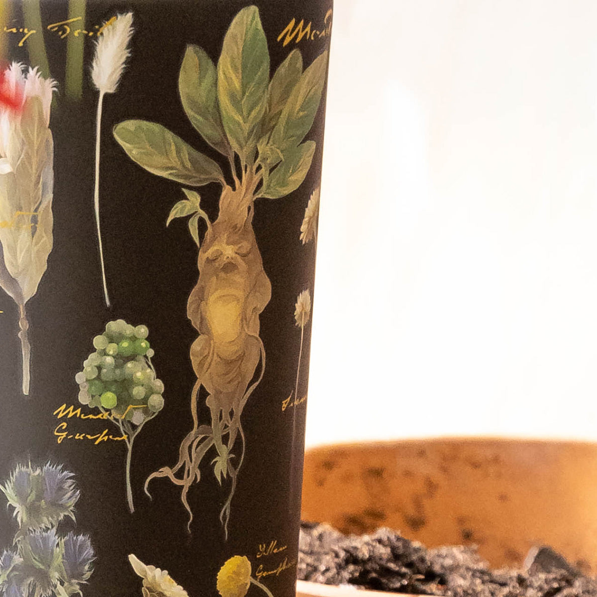 harry-potter-cold-cup-c9 Herbology-3.jpg