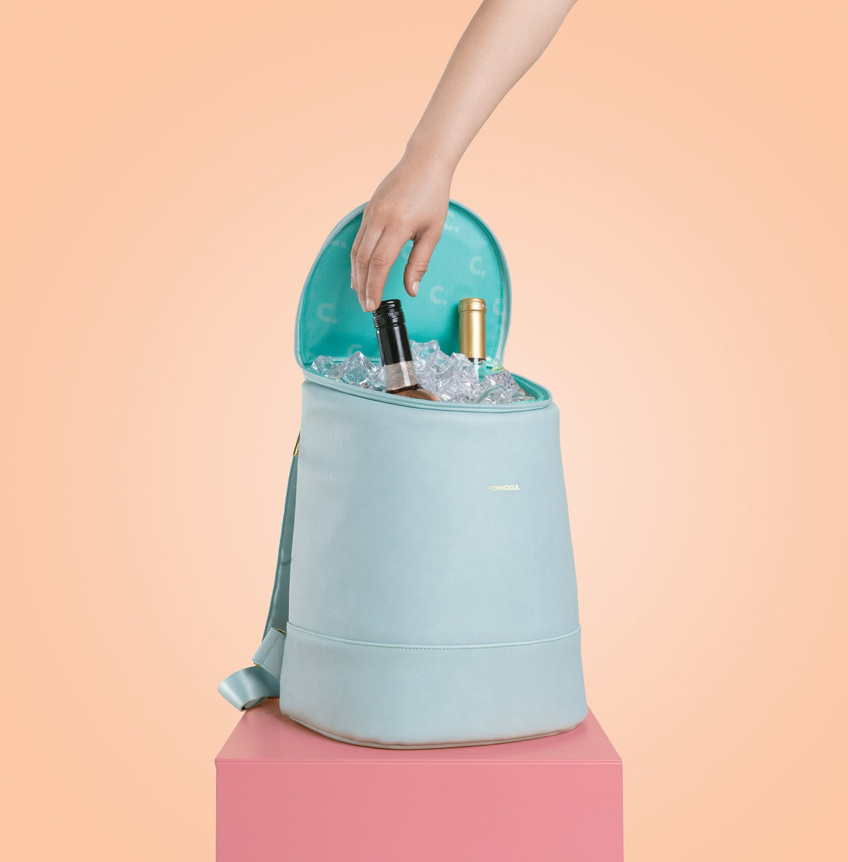 eola-bucket-cooler-bag-w8 a405954e83cf--EOLA-Bucket-copy.jpg